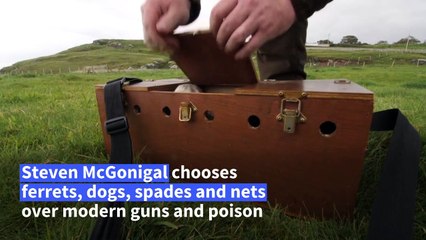 On burrowed time: hunting with Ireland's last rabbit catcher