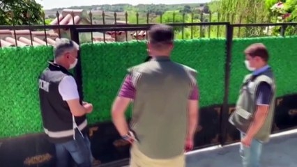 Silah kaçakçılığına yönelik operasyonda tropik hayvanlar da kurtarıldı - İSTANBUL