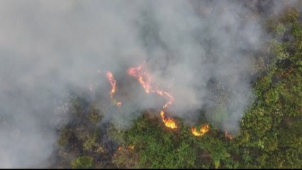 Amazon fire: Raging blazes raise fears of a repeat of 2019