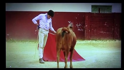 TENTADERO EN EL PARRALEJO ALFONSO ALONSO