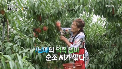 억척 엄마 순조 씨의 힘내라, 내 새끼