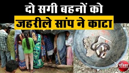 दो सगी बहनों को जहरीले सांप ने काटा, एक की मौत