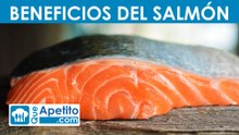 8 propiedades y beneficios del salmón | QueApetito