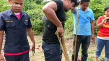 Buffalo rescued after falling down four-metre deep well in Thailand