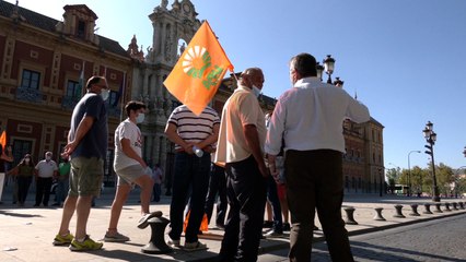 下载视频: Una caravana en Sevilla reclama 