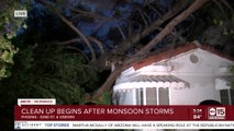 Large tree collapses on Phoenix home during monsoon storm