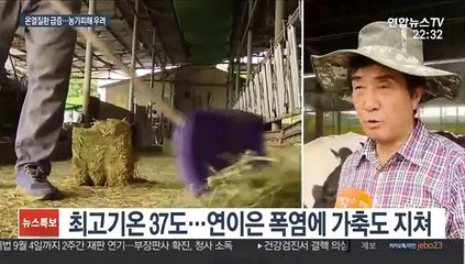 8월 폭염에 가축도 지쳐…온열질환자도 급증