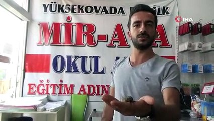 Hakkari'de bulundu! Görenler şaşkınlığını gizleyemedi