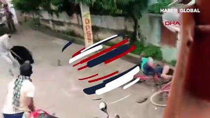 Sokak ortasında ayı saldırısı kamerada