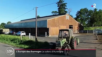 Gastronomie : à la découverte du salers d’Auvergne