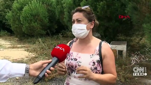 Hayvanseverler kayıp 27 köpeğin bulunmasını istiyor | Video