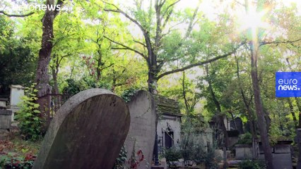 Prefiere morir sana que llegar a vieja: Jacqueline de 76 años reclama el suicidio asistido