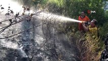 Kayacı Vadisi'nde çıkan yangında 1 hektar ormanlık alan etkilendi