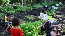 Niños cultivan huertos para sobrevivir a la pandemia en El Salvador