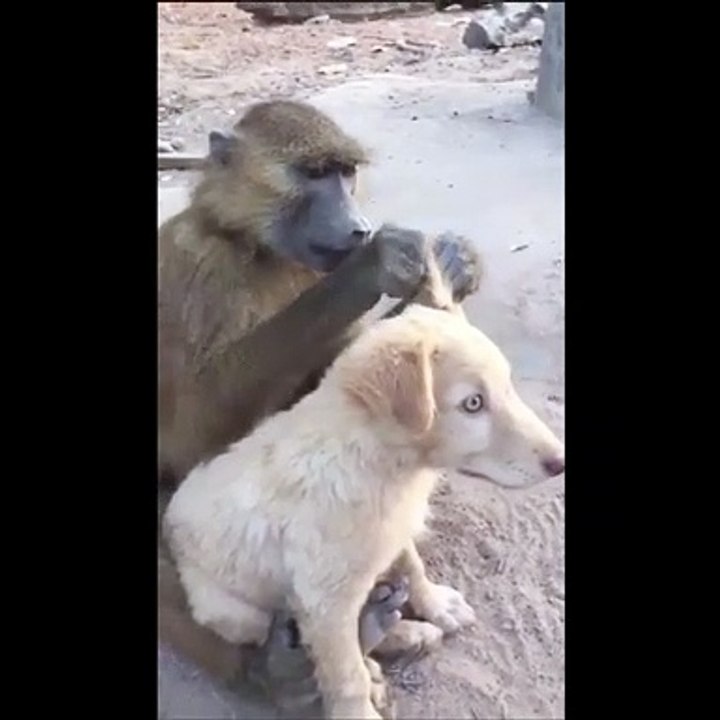 Hamilelikte doğru tedavi yöntemleri