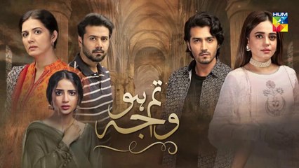 Tum Ho Wajah Episode 17 Promo HUM TV Drama 21 August 2020