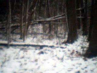 Ruf Vom Berge english