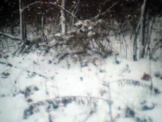 Ruf Vom Berge guitar