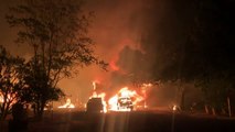 Waldbrände in Kalifornien: Zehntausende in Sicherheit gebracht