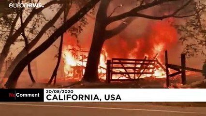 Dezenas de incêndios devastam Califórnia