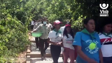 Por protección a la fauna marina liberan tortuguillos en Chacocente, Carazo