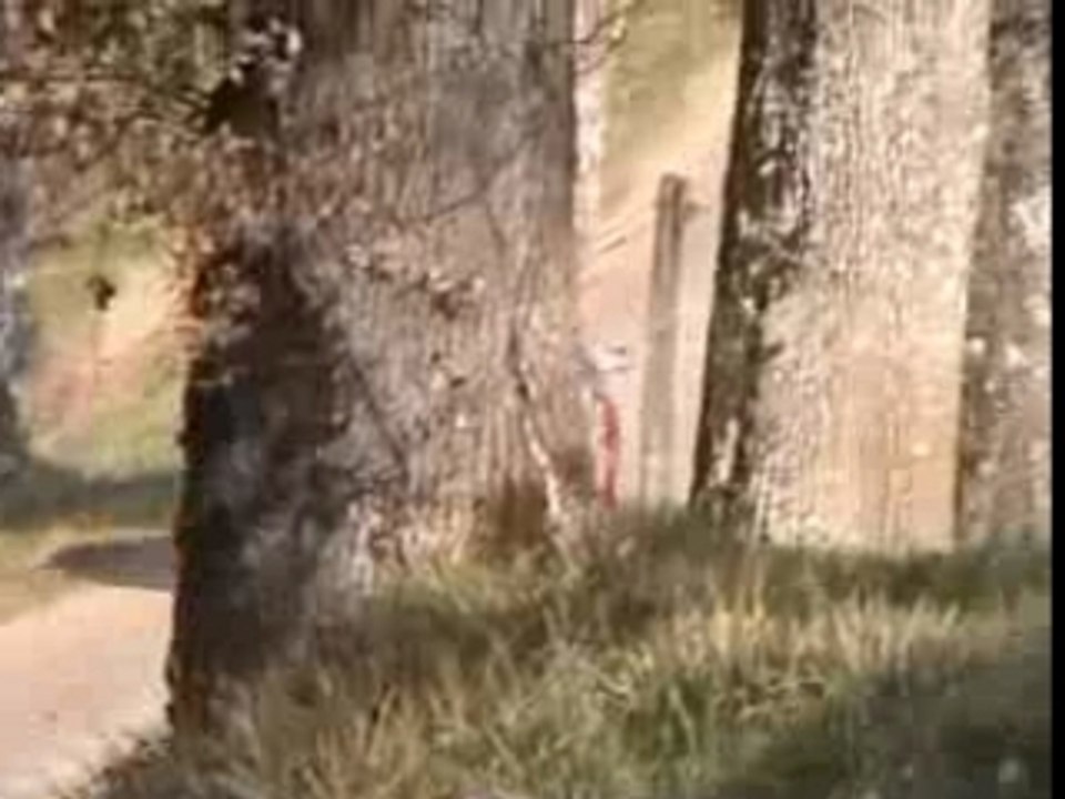 Rallye24_2008