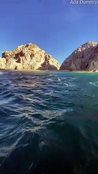 Squadron of Manta Rays Leap in the Sunshine