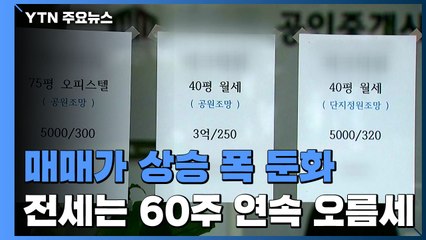 매매가 상승 폭 둔화...전세는 60주 연속 오름세 / YTN