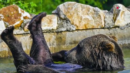 Incendies en Californie, manifestations en Biélorussie... L'actualité de la semaine en images