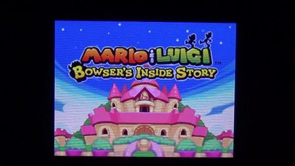 Mario & Luigi: Bowser's Inside Story - Mystery Game Box