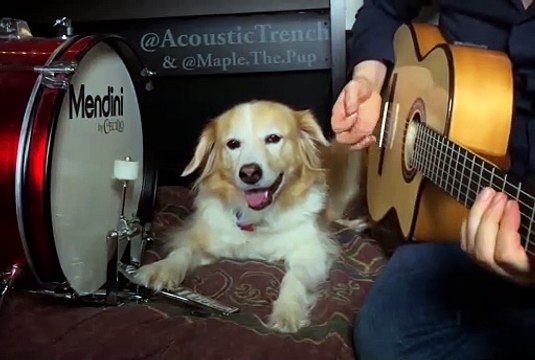 Back In Black w /Maple on the Drums (ACDC)