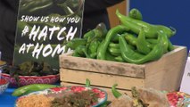 Spice Up Your Meals With Food City’s Hatch Chile Challenge