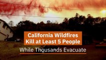 California Wildfires Deaths