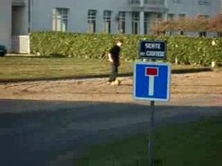 Suite de Brosville Panneau 8