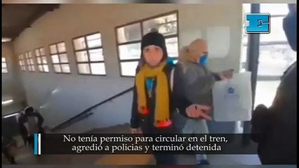 No tenía permiso para circular en tren, agredió a policias y terminó detenida.