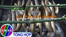 Tinh hoa bếp Việt: Cá chạch đồng | Món ngon miền sông nước - Tập 26