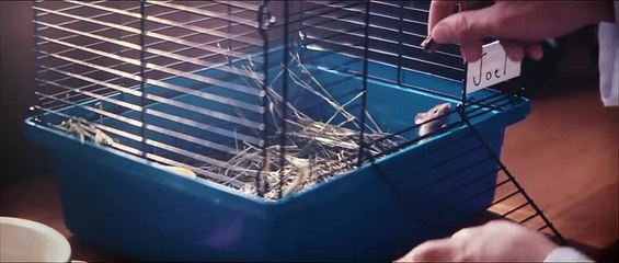 Marshmello  music Alone Official Music Video