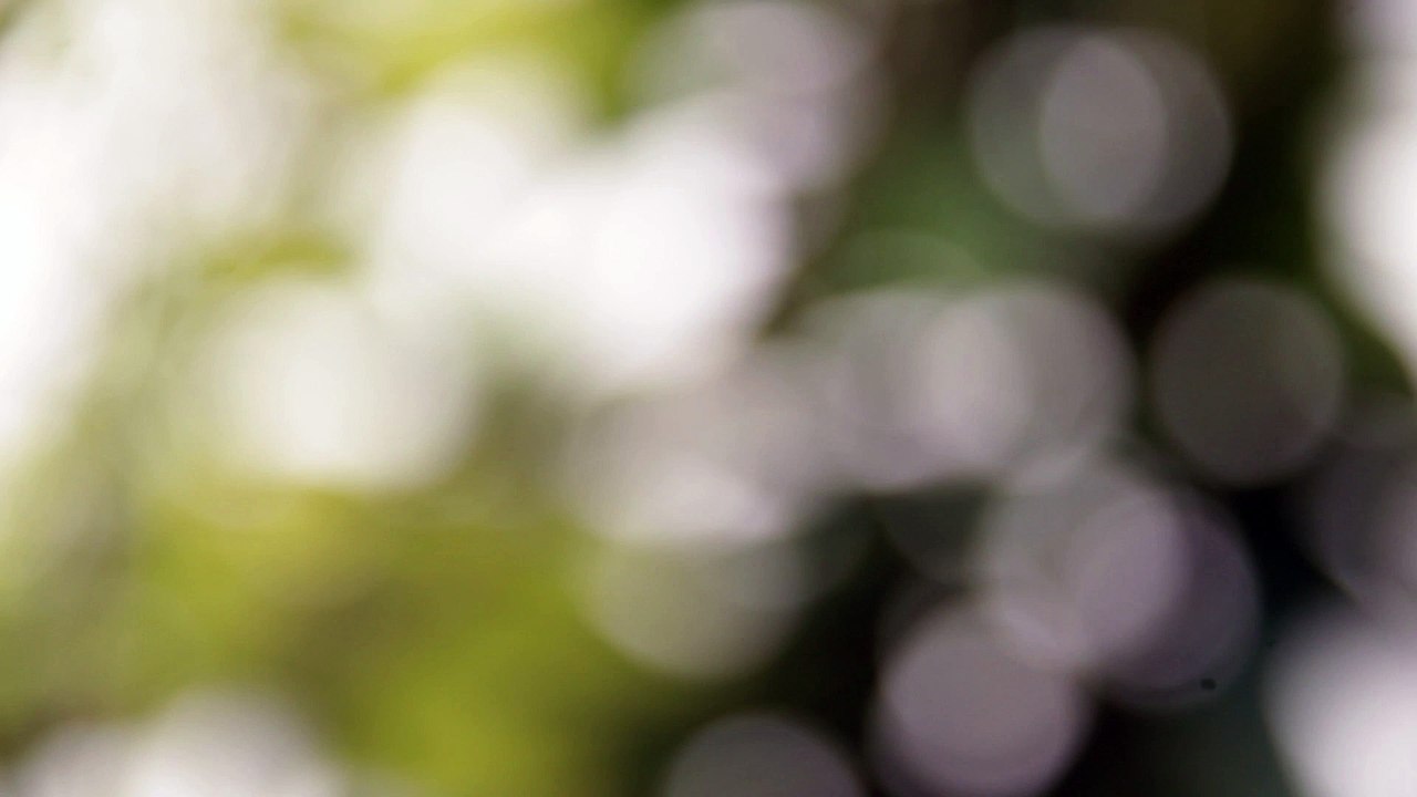Beatiful nature HD