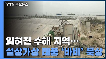 코로나19·폭염으로 잊힌 수해 지역...'복구 상황은? / YTN