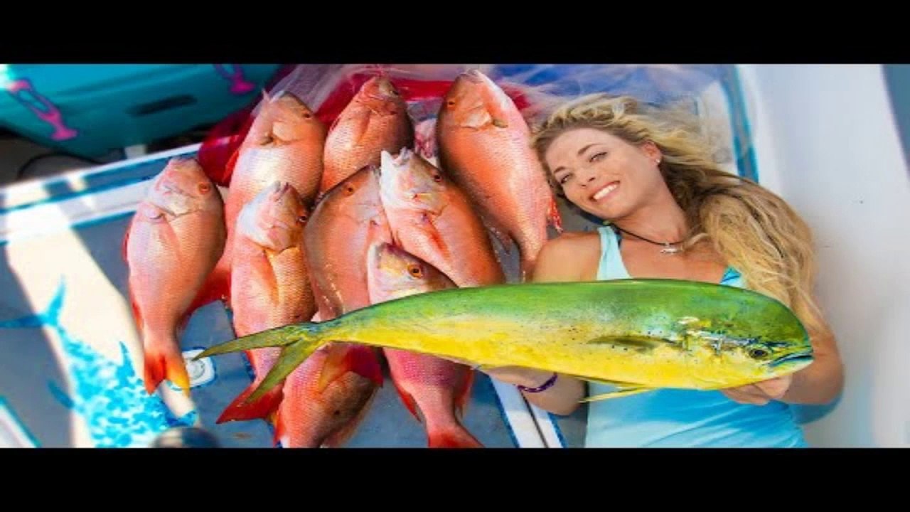 Deep Sea WRECK FISHING off Florida Coast! Catching our Dinner For Weeks! (Stuart Florida Fishing)