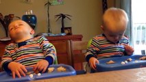 Funny Twins Baby Arguing Over Everything 22 Funny Babies And Pets