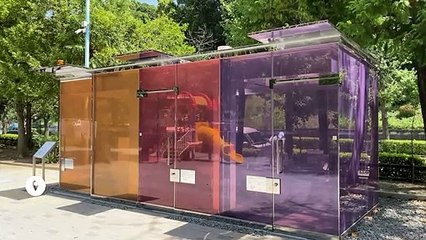 Japon : des toilettes publiques transparentes testées à Tokyo