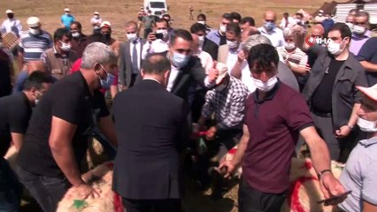 Erzincan’da 'Koç katım şenliği' düzenlendi