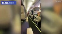 Aleksei Navalny screaming in plane