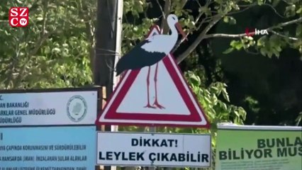 Herkes gitti, o kaldı