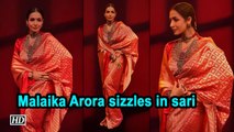 Malaika Arora sizzles in sari