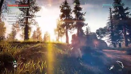 HORIZON zero dawn | PC | 4k 60fps Max settings