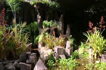 UK study visa | Study visa for the UK