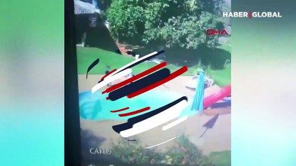 Havuza düşen bir yaşındaki arkadaşını böyle kurtardı