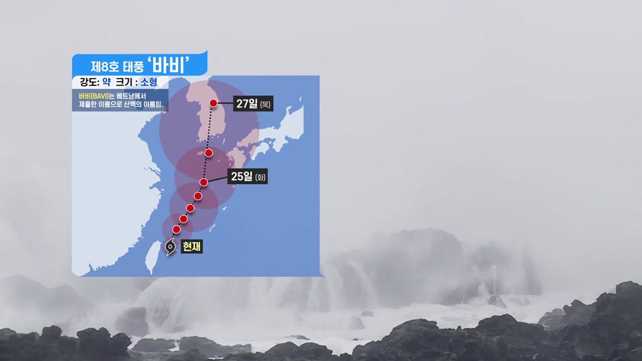 [날씨] 8호 태풍 '바비' 발생...다음 주 상륙 가능성 / YTN